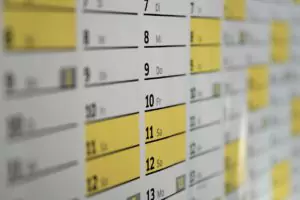 calendar, dates, schedule, days, wall calendar, year, meeting, office, planning, calendar, calendar, calendar, calendar, calendar, schedule, schedule